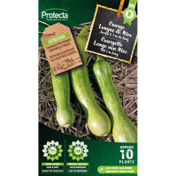 Courgette Lange van Nice