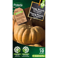 Pompoen Muscade van Provence