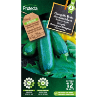 Courgette Donkergroene Vollegrond