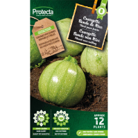 Courgette Ronde van Nice