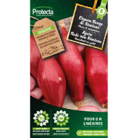 Ajuin Rode van Simiane