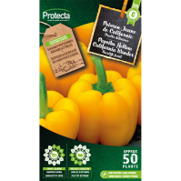 Paprika Yellow California Wonder