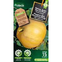 Pompoen Gele Reuzen van Parijs