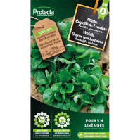 Veldsla Groene van Louviers