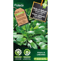 Veldsla Hollands breedblad