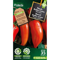 Tomaat Andine cornue