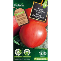 Tomate Cœur de Bœuf Tomate Cœur de Bœuf