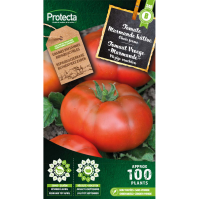 Tomaat Vroege "Marmande"