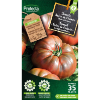 Tomaat "Noire de Crimée"