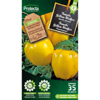 Tomate Yellow Stuffer