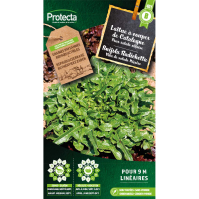 Snijsla Radichetta Snijsla Radichetta