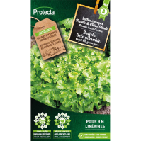 Snijsla Gele gekrulde