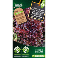 Eikenbladsla Red Salad Bowl