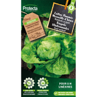 Kropsla Winterwonder