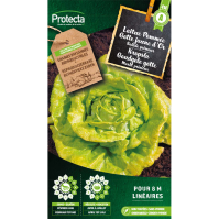 Kropsla Goudgele gotte