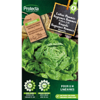 Kropsla Kagraner Sommer