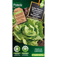 Kropsla Kinemontepas