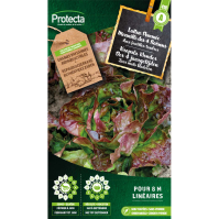 Kropsla Wonder Der 4 jaargetijden