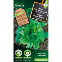 Veldsla Groen Volhart Veldsla Groen Volhart