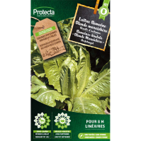 Romeinse bindsla "Blonde Maraichère"