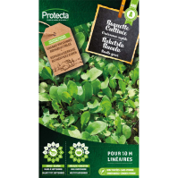 Raketsla Rucola Raketsla Rucola