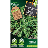 Raketsla Wilde Rucola