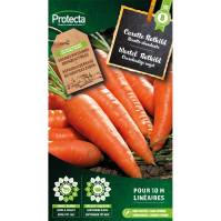 Wortel Verbeterde Rothild