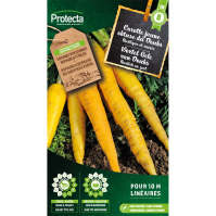 Wortel Gele van Doubs