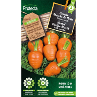 Wortel Parijse Markt