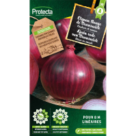 Ajuin rode van Brunswick