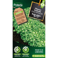 Snijandijvie Snijandijvie