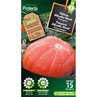 Pompoen Atlantic Giant