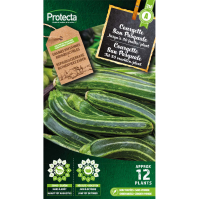 Courgette San Pasquale