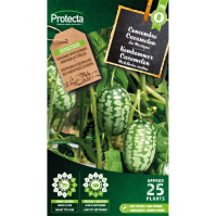 Komkommer Cucamelon