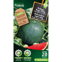 Watermeloen sugar baby