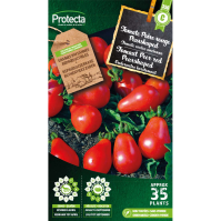 Tomaat Peer red Pearshaped