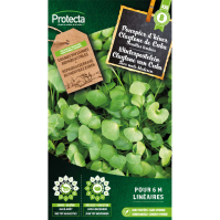 Winterpostelein Claytone van Cuba