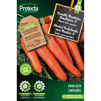 Wortel Verbeterde van Nantes 3