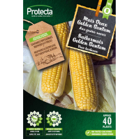 Suikermais Golden Bantam