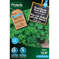 Peterselie Dubbel gekrulde Robust XXL