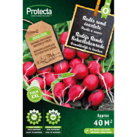 Radijs Ronde Scharlakenrode