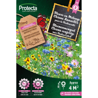 Fleurs en Mélange Chrono Annuelles