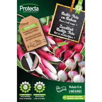 Zaadlint Radijs Trio