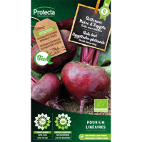 Rode biet Egyptische platronde