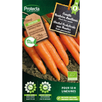 Wortel Verbeterde van Nantes BIO