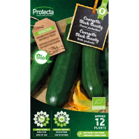 Courgette Black Beauty BIO