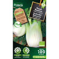 Knolvenkel Romanesco BIO