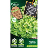 Snijsla Gele gekrulde BIO