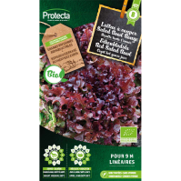 Eikenbladsla Red Salad Bowl BIO