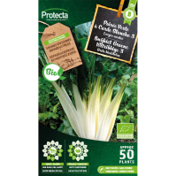 Snijbiet Groene Witribbige 3 BIO